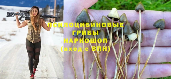 кристаллы Няндома