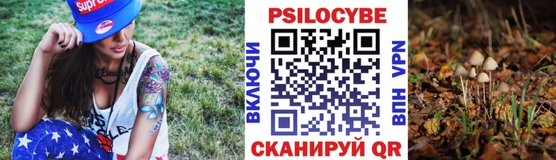 Галлюциногенные грибы MAGIC MUSHROOMS  Владивосток 