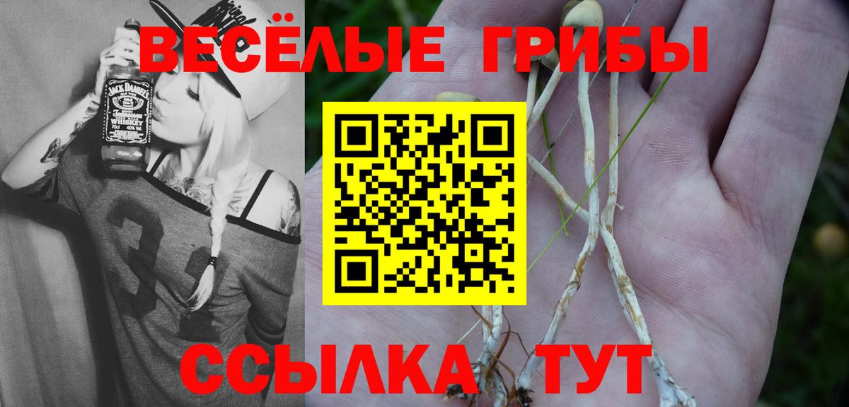Галлюциногенные грибы Cubensis  Вход с VPN  что такое   Владивосток 