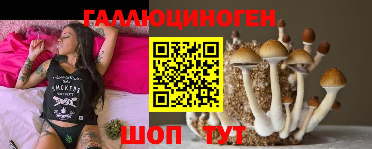 Галлюциногенные грибы MAGIC MUSHROOMS Владивосток